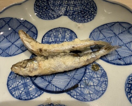 Dinner at Nakamura (Yaizu)