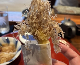 Dinner at Nakamura (Yaizu)