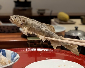 Dinner at Nakamura (Yaizu)