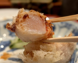 Dinner at Nakamura (Yaizu)