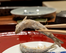 Dinner at Nakamura (Yaizu)