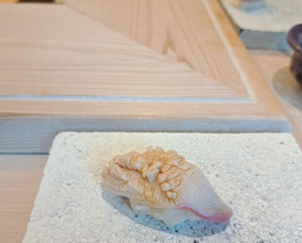 Dinner at Sushi Namba Hibiya