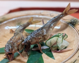 Dinner at Ninomae