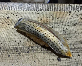 Dinner at Sushi Nishizaki (鮨 西崎)