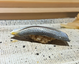 Dinner at Sushi Nishizaki (鮨 西崎)