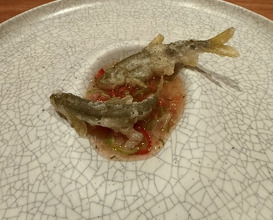 Dinner at NK (New Wonderful Companions feat. Kakuland)