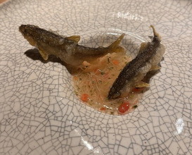 Dinner at NK (New Wonderful Companions feat. Kakuland)