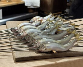 Dinner at Shokudo Ogawa (食堂 おがわ)