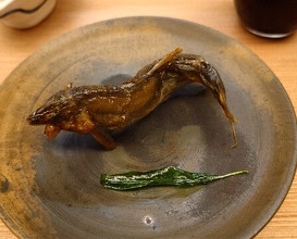 Dinner at Akasaka Ogino