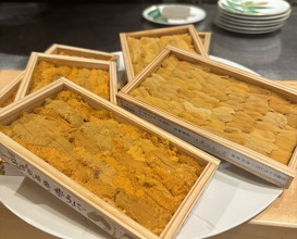 Dinner at Ginza Oishi