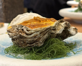 Dinner at Ginza Oishi