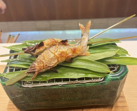 Dinner at Kikunoi (赤坂 菊乃井)
