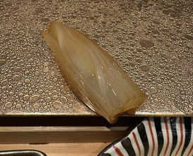 Dinner at Sushi Fujinaga (鮓 ふじなが)