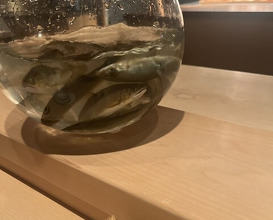 Dinner at Hakuun