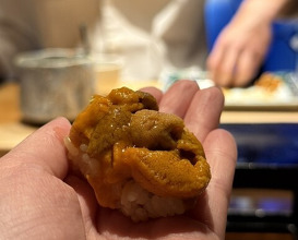 Dinner at HATSUNEZUSHI (初音鮨)