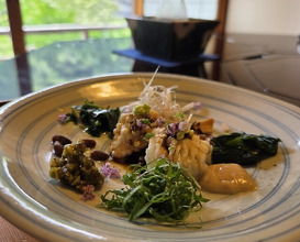 Dinner at Hirasanso