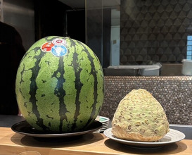 Dinner at Ginza Oishi
