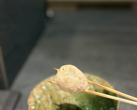 Dinner at Sumiyaki Okagesan (炭焼 おかげさん)