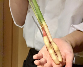 Dinner at Onjaku (温石)