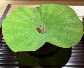 Dinner at Sharikimon Onozawa