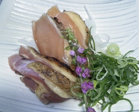 Dinner at Jidoriya Onza (じどりや 穏座)