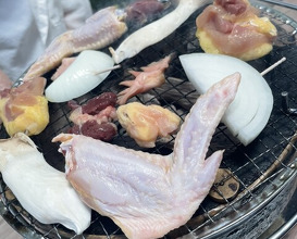 Dinner at Jidoriya Onza (じどりや 穏座)