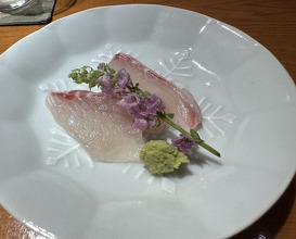 Dinner at Otome Zushi (乙女寿司)