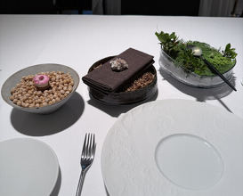 Dinner at Otowa restaurant (オトワ レストラン)