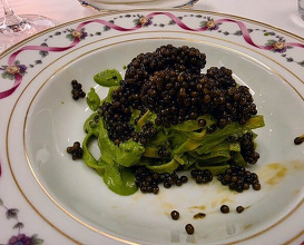 Dinner at PELLEGRINO