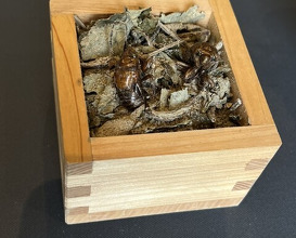 Dinner at PRESENTE Sugi (プレゼンテ スギ)