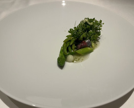 Dinner at Restaurant Arena (レストラン アレナ)