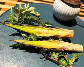Dinner at RESTAURANT UOZEN (レストラン ウオゼン)