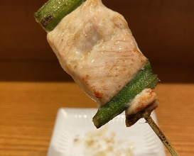 Dinner at Riba Tei (里葉亭)