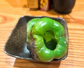 Dinner at Riba Tei (里葉亭)
