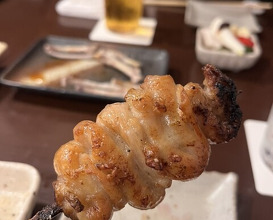 Dinner at Riba Tei (里葉亭)