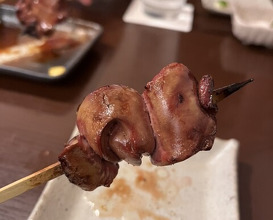Dinner at Riba Tei (里葉亭)