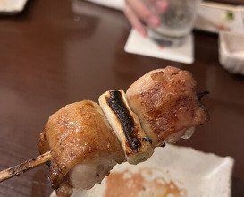 Dinner at Riba Tei (里葉亭)