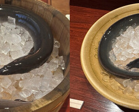 Dinner at Rin (麟)
