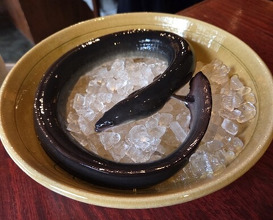 Dinner at Rin (麟)