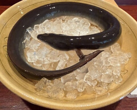 Dinner at Rin (麟)