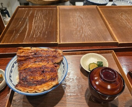Dinner at Rin (麟)