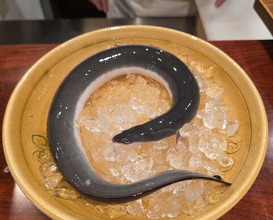 Dinner at Rin (麟)