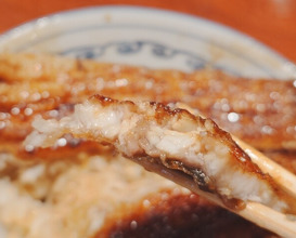 Dinner at Rin (麟)