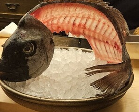 Dinner at Sushi Saeki