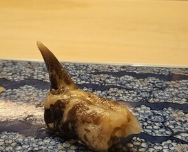 Dinner at Sushi Saeki