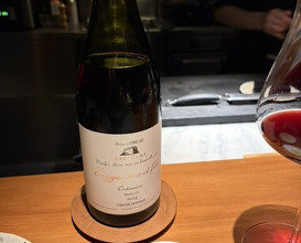 Dinner at Japan no Italian Ryori Ten sai (日本のイタリア料理店 sai)