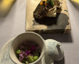 Dinner at Japan no Italian Ryori Ten sai (日本のイタリア料理店 sai)