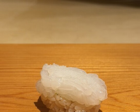 Dinner at Sushi Sakai