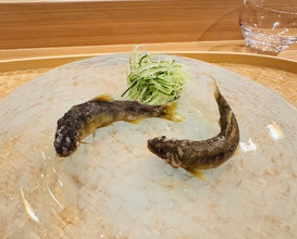 Dinner at Sakuragi (櫻木)