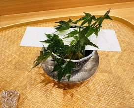 Dinner at Sakuragi (櫻木)